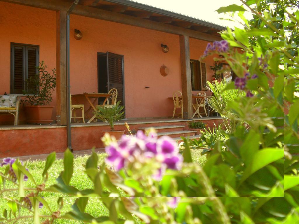 Il Vigneto B&B Gonnesa Esterno foto